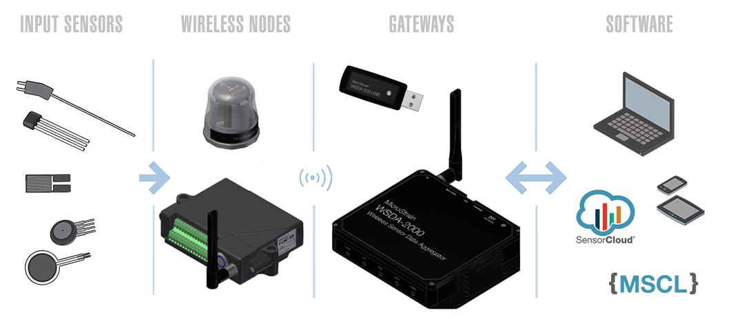 networks